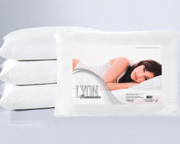 CAT-Abdouni PDF ALTA